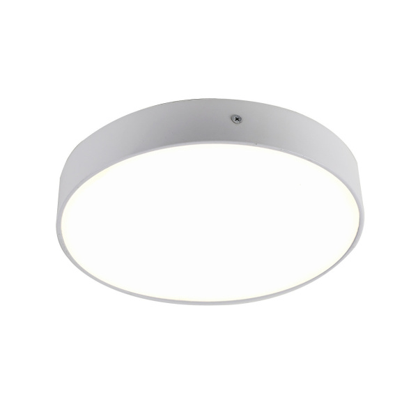 Светодиодный потолочный светильник Flashled 2065-30C