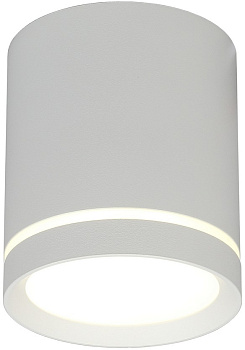 Накладной светильник Omnilux Capurso OML-102429-05
