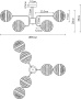 картинка Потолочная люстра на штанге Delacrua A7770PL-6PB от магазина BTSvet