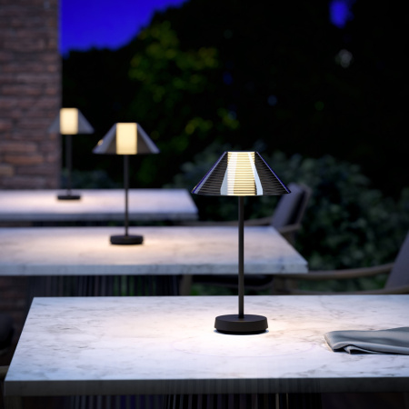 картинка Настольный светильник с аккумулятором Elektrostandard Mistery TL70210 от магазина BTSvet