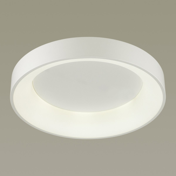 картинка Светодиодный потолочный светильник Sole 4062/50CL от магазина BTSvet