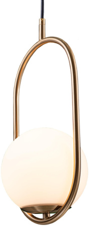 картинка Подвесной светильник Glob LOFT2595-A от магазина BTSvet