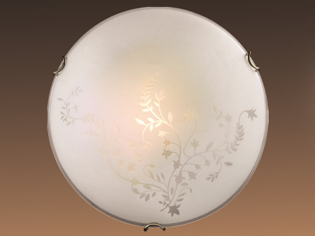 картинка Настенно-потолочный светильник Kusta 118/K от магазина BTSvet