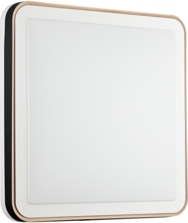 картинка Настенно-потолочный светильник Akuna 7621/DL от магазина BTSvet