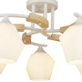 картинка Потолочная люстра Lalio 66587.01.09.05 от магазина BTSvet