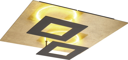 Потолочный светильник Dalia 8162