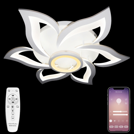 картинка Потолочная люстра светодиодная с пультом и управлением смартфоном регулировкой цветовой температуры и яркости ночным режимом и таймером HIGH-TECH LED LAMPS 82020 от магазина BTSvet