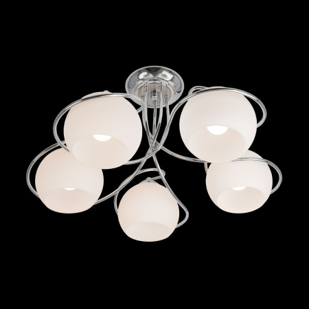 картинка Потолочная люстра Lajma CL155151 от магазина BTSvet