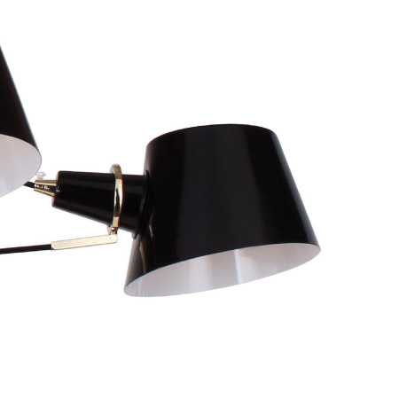 картинка Потолочная люстра Eimer 1512-6P от магазина BTSvet