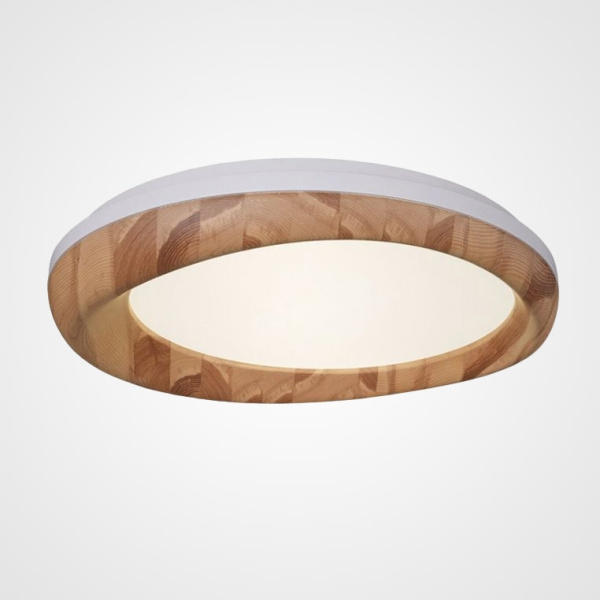 Потолочный светильник светодиодный RUNIS01