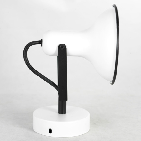 картинка Спот Fargo LSP-8801 от магазина BTSvet