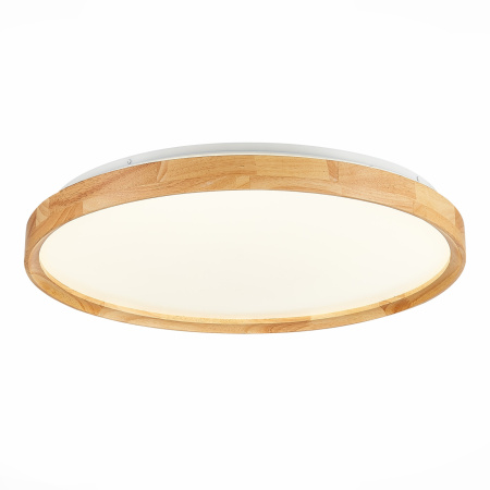 картинка Потолочный светильник светодиодный с регулировкой цветовой температуры Delia SLE201382-01 от магазина BTSvet