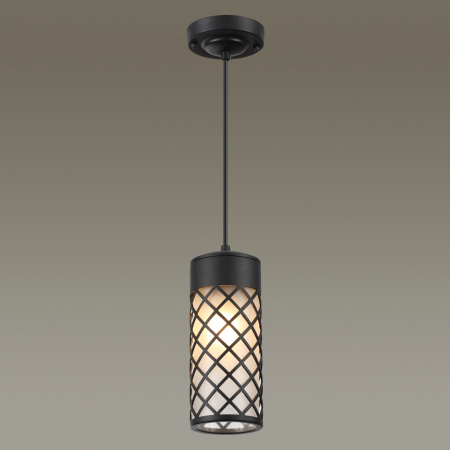 картинка Уличный светильник подвесной Dunes 4834/1 IP44 от магазина BTSvet