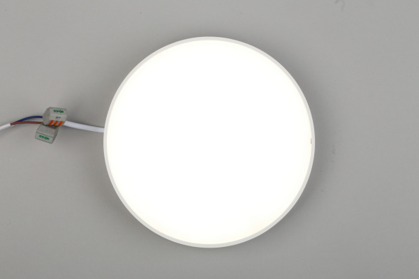 картинка Потолочный светильник светодиодный Evon APL.0114.09.24 от магазина BTSvet