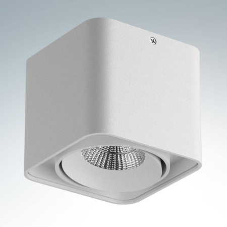 картинка Накладной точечный светодиодный светильник MONOCCO 052116 от магазина BTSvet