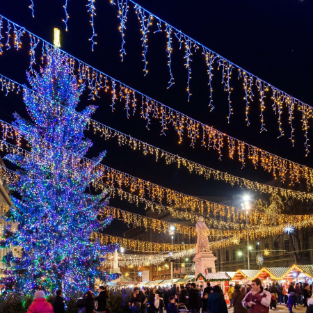 картинка Светодиодная гирлянда ARD-EDGE-CLASSIC-2400x600-CLEAR-88LED-MILK-FLASH Warm (230V, 6W) (Ardecoled, IP65) 034119 от магазина BTSvet