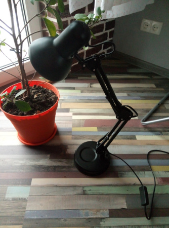 картинка Офисная настольная лампа с выключателем Famous 24880 от магазина BTSvet