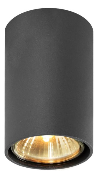 картинка Накладной светильник Simba 483/G от магазина BTSvet