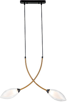 Подвесной светильник Fiore V000140 (13001/2P Black)