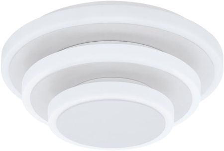 Настенно-потолочный светильник светодиодный Elgvero 98676