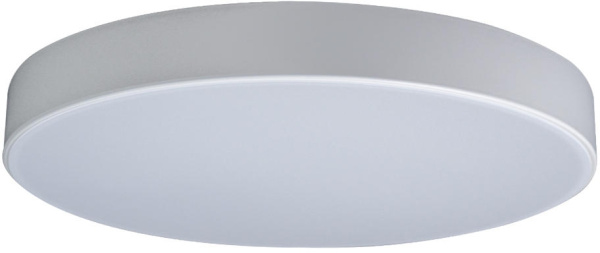 Потолочный светильник светодиодный Axel 10002/24 White