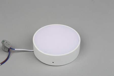 картинка Потолочный светильник светодиодный Evon APL.0113.09.12 от магазина BTSvet