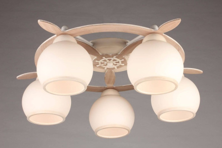 картинка Потолочная люстра OML-50517-05 от магазина BTSvet