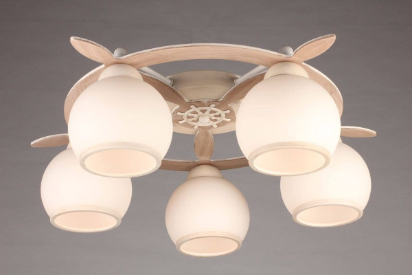 картинка Потолочная люстра OML-50517-05 от магазина BTSvet