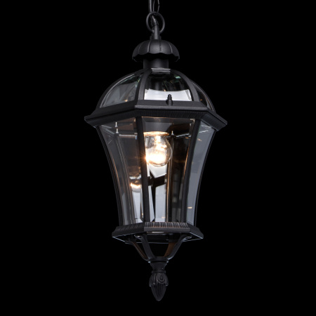 картинка Уличный светильник подвесной Sandra 811010301 от магазина BTSvet