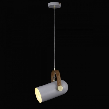картинка Подвесной светильник LOFT LUX 77033-1P WHITE от магазина BTSvet