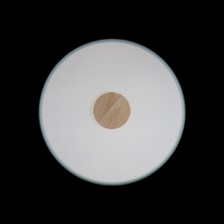 картинка Потолочный светильник светодиодный Axel 10003/24 Green от магазина BTSvet