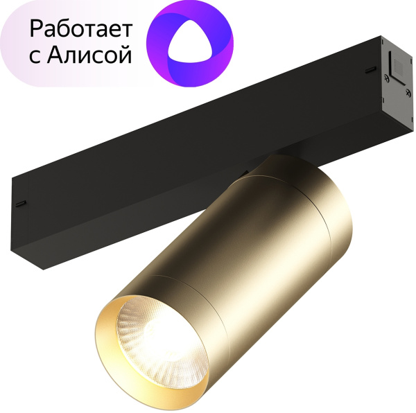 Трековый светильник однофазный Smart Spot DK8020-BG