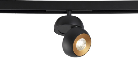 картинка Декоративное кольцо CLT 0.33 011 Reflector GOLD от магазина BTSvet