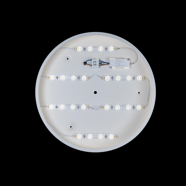 картинка Потолочный светильник светодиодный Axel 10003/24 White от магазина BTSvet