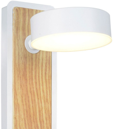 картинка Спот светодиодный с выключателем Prime 2900-1W от магазина BTSvet