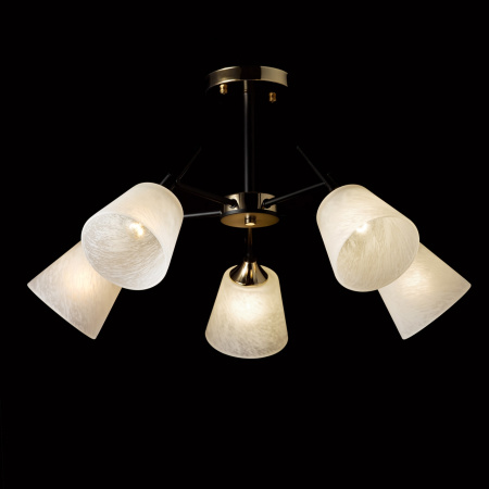 картинка Потолочная люстра Альфа 324014905 от магазина BTSvet