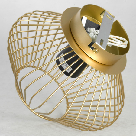 картинка Потолочная люстра светодиодная Brooks GRLSP-8248 от магазина BTSvet