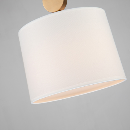 картинка Подвесной светильник Roshe 2624-1P от магазина BTSvet