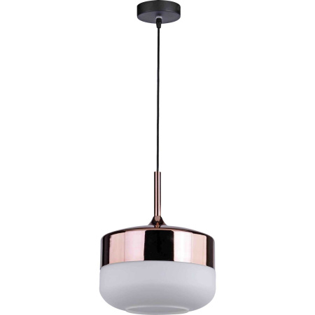 картинка Подвесной светильник Rima 2041/98/01P от магазина BTSvet