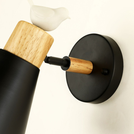 картинка Спот Uccello 2938-1W от магазина BTSvet