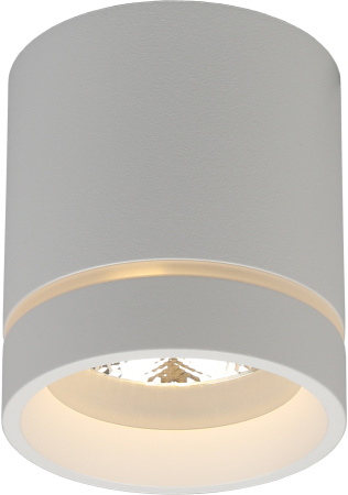 Накладной светильник светодиодный Gita APL.0043.09.05