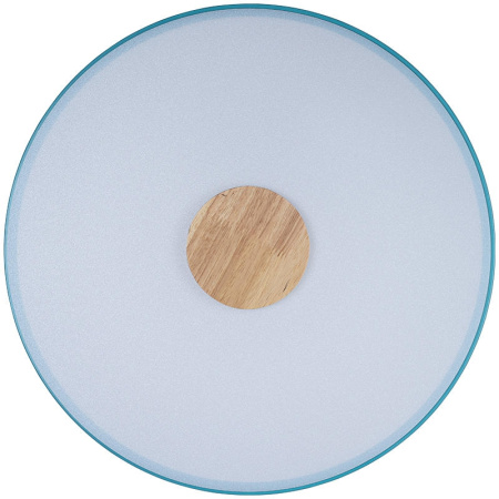 картинка Потолочный светильник светодиодный Axel 10003/24 Blue от магазина BTSvet