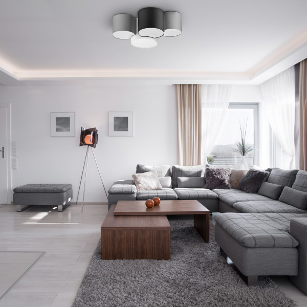 картинка Потолочная люстра Mona Colour 4184 от магазина BTSvet