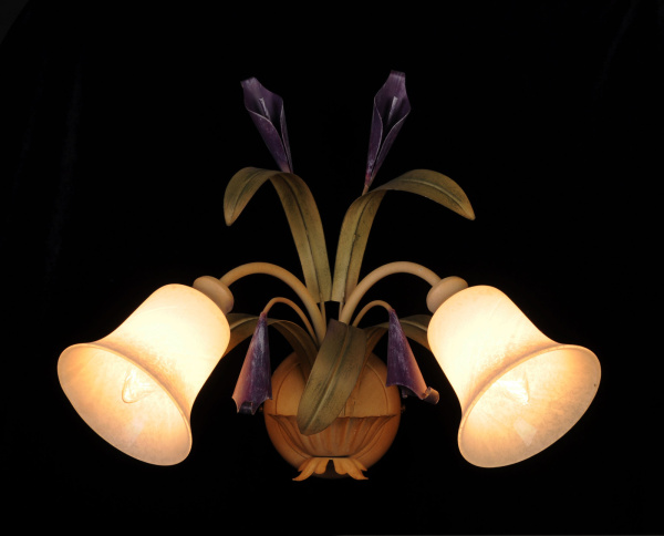 картинка Бра 4544/A2 от магазина BTSvet