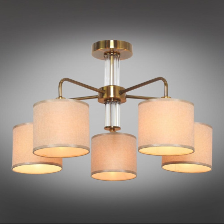 картинка Потолочная люстра Barumini OML-56907-05 от магазина BTSvet