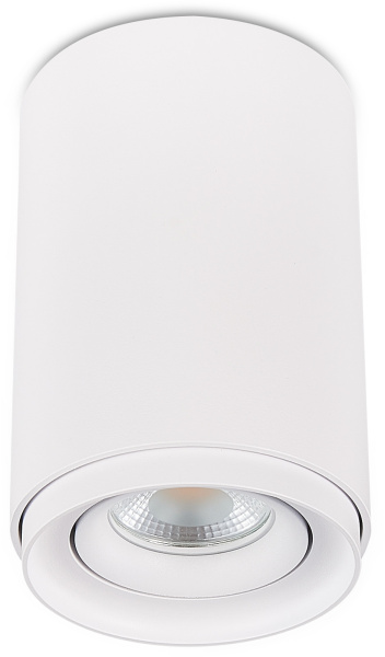 картинка Накладной светильник 2065-1CLW от магазина BTSvet