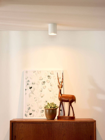 картинка Точечный накладной светильник Bodi 09100/01/31 от магазина BTSvet