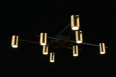 картинка Потолочная люстра на штанге Elwisia APL.633.07.08 от магазина BTSvet