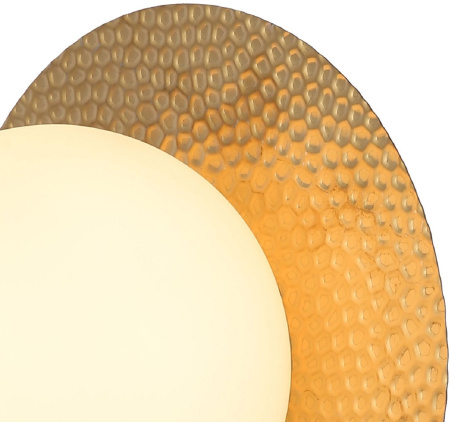 картинка Настенный светильник Roshni 3050-1W от магазина BTSvet