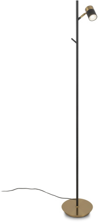 картинка Торшер Enzo FR5201FL-01B от магазина BTSvet